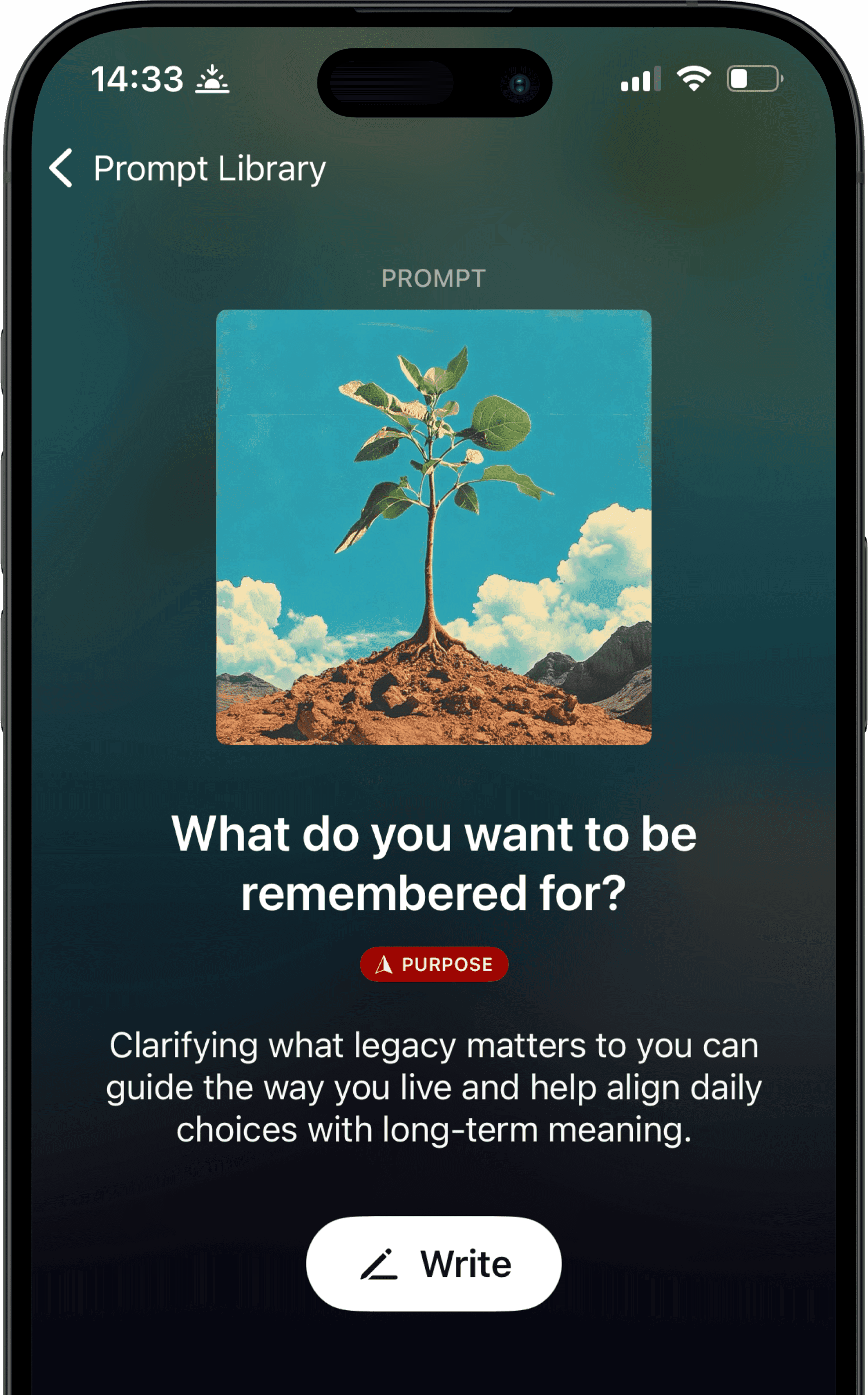 Examined Self app screenshot